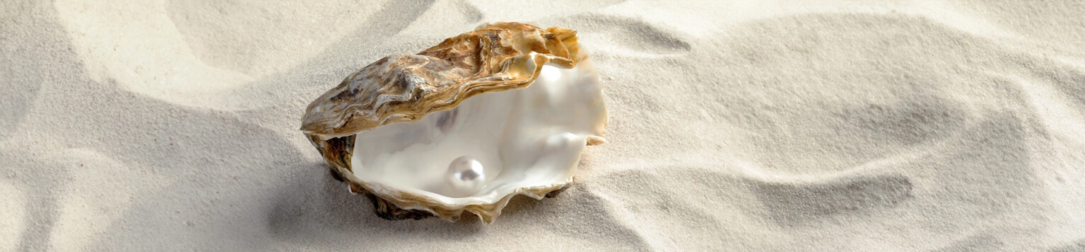 June birthstone banner of an open oyster with white pearl on sandy beach