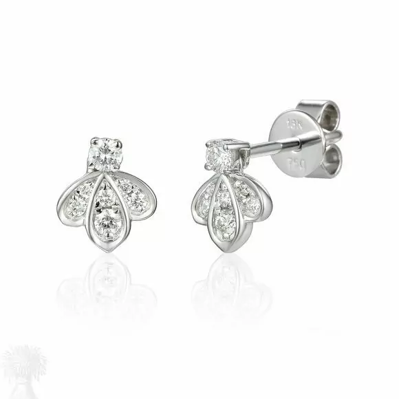 18ct White Gold Diamond Cluster Leaf Stud Earrings