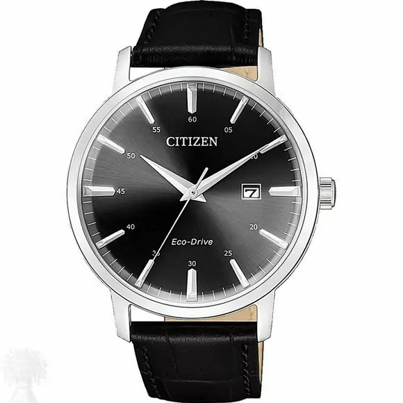Gents Stainless Steel Eco-Drive Citizen Date Strap Watch