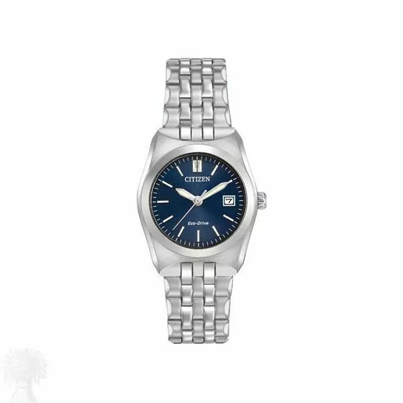Ladies Stainless Steel Eco-Drive Date Citizen Watch