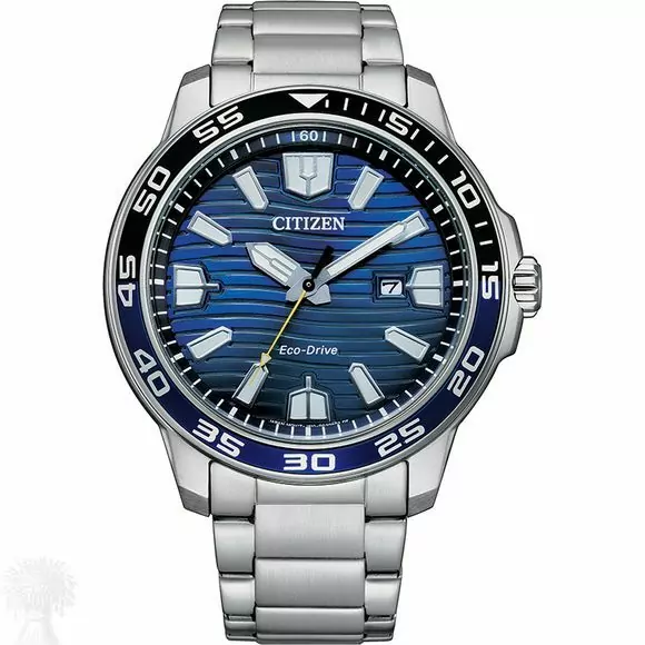 Gents Stainless Steel Eco-Drive Citizen Date Watch