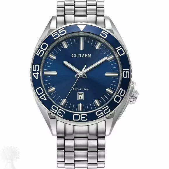 Gents Stainless Steel Citizen Eco-Drive Date Watch