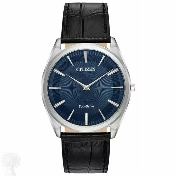 Gents Stainless Steel Citizen Eco-Drive Strap Wrist Watch