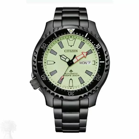 Gents Black Stainless Steel Citizen Automatic Diver Day Date