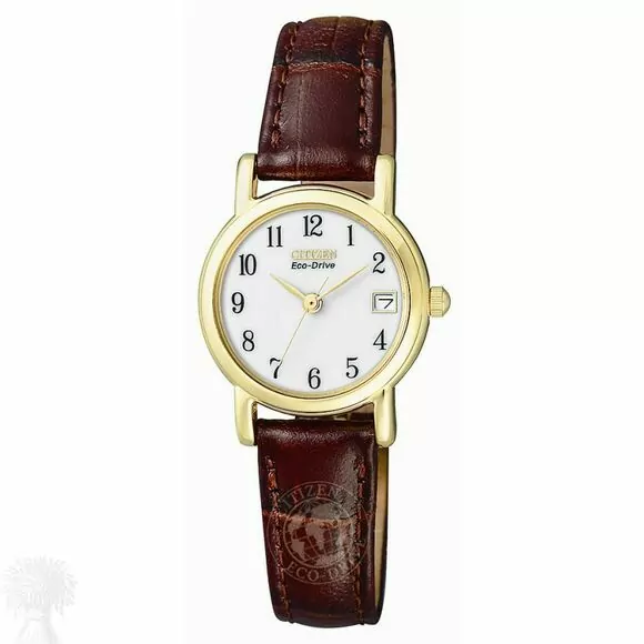 Ladies Gold Plated Citizen Eco-Drive Date Strap Wrist Watch