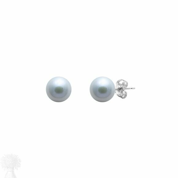 9ct White Gold 6 - 6.5mm Grey Freshwater Pearl Stud Earrings