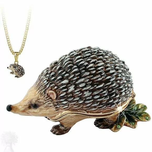 Hidden Treasures Secrets - Hedgehog Trinkwt Box & Necklace