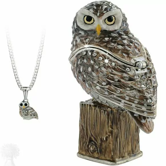 Hidden Treasures Secrets - Little Owl Trinket Box & Necklace