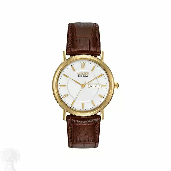 Gents Gold Plate Eco-Drive Citizen Day-Date Watch