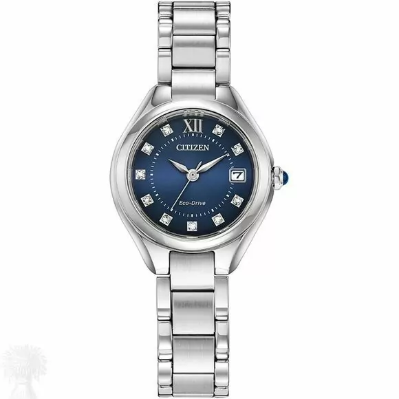 Ladies Stainless Steel Citizen Eco-Drive Date Watch