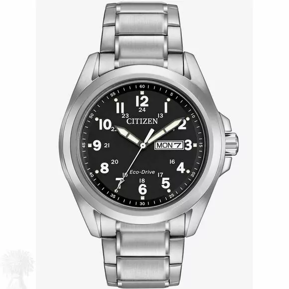 Gents Stainless Steel Citizen Eco-Drive Day Date Watch